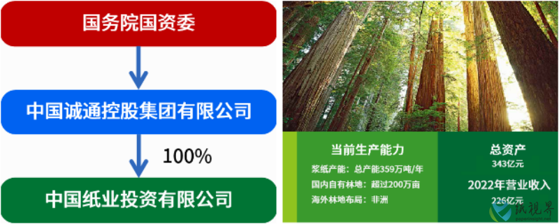 中国纸业2(1).png