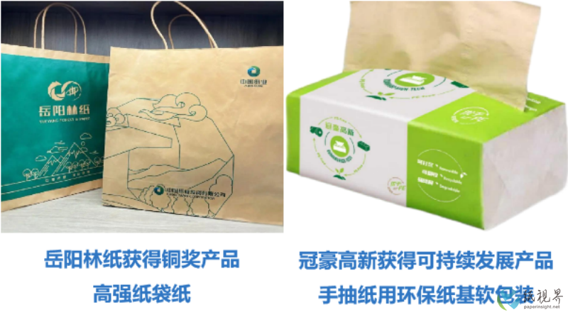 中国纸业5(1).png