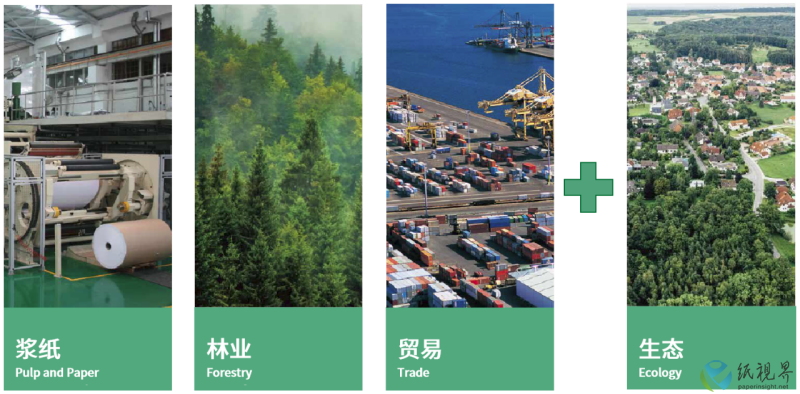 中国纸业3(1).png