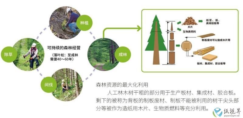 王子(1).jpg