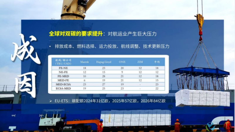 纸浆周顾4(1).png
