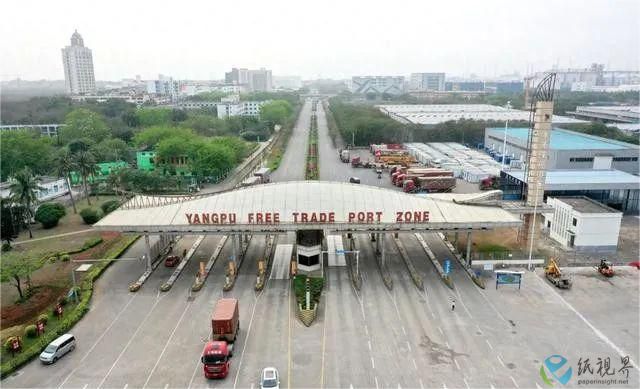 金桂.jpg
