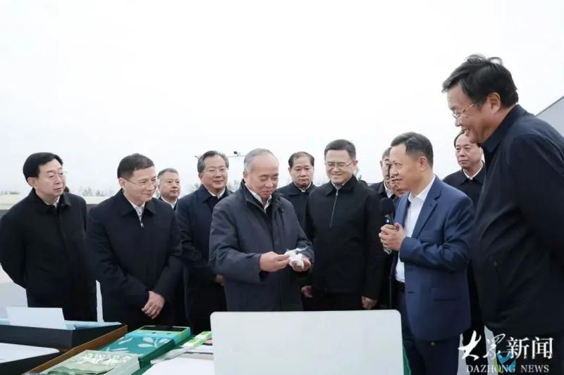 金鹰(1).jpg