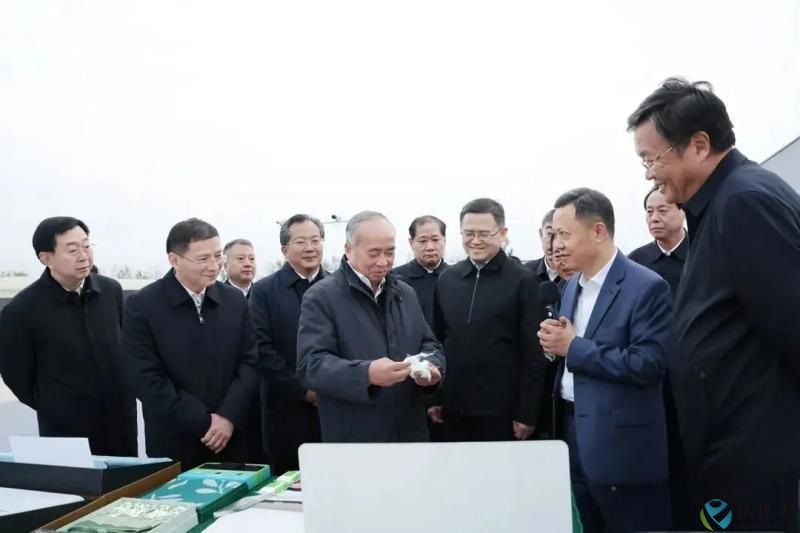 金鹰.jpg