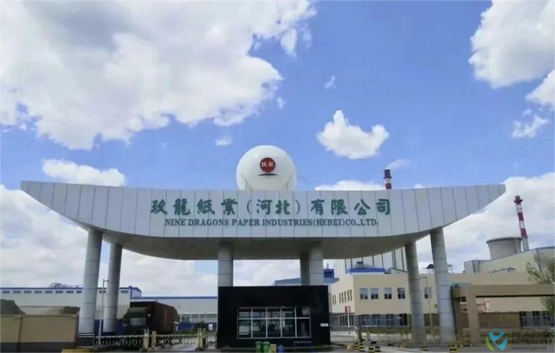 玖龙纸业（河北）800.jpg