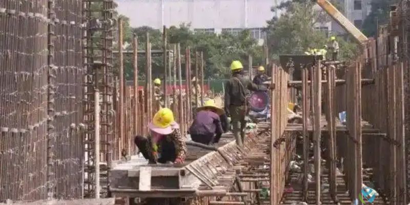 青山纸业2-800.jpg