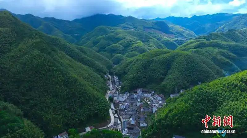 竹纸1-800.jpg