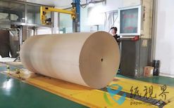 15万吨高强瓦楞纸项目正式开工