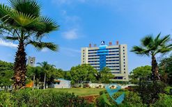 福建省青山纸业股份有限公司2024年生产经营综述