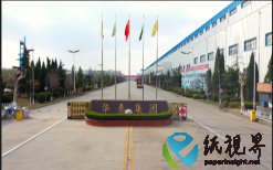 24个月落地投产，48小时全线开机，预计每年减碳120万吨 华泰股份年产70万吨化学木浆项目刷新行业“中国速度”