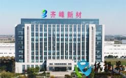 齐峰新材：预计2025年出口数量将大幅增加，多个新产品销量占比超20%