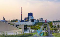 四川环龙生态拟建20.4万吨/年绒毛浆及4.6万吨/年模塑纸餐具专用纸浆项目