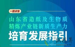 向“一棵树”要七十二般变化，山东四部门联合发文加速造纸产业点“木”成金