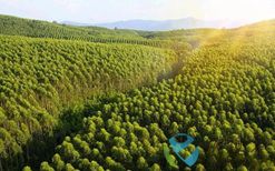 太阳控股荣列“2025中国企业500强”榜单第326位