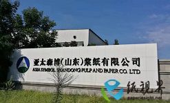产业链上的山东好品牌|深耕“浆纸纤”拼出产业新图景