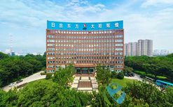 太阳纸业创新驱动，拓宽国际市场