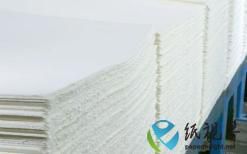 巴西在全球纸浆市场份额将继续提升，预计对美国的出口将增加