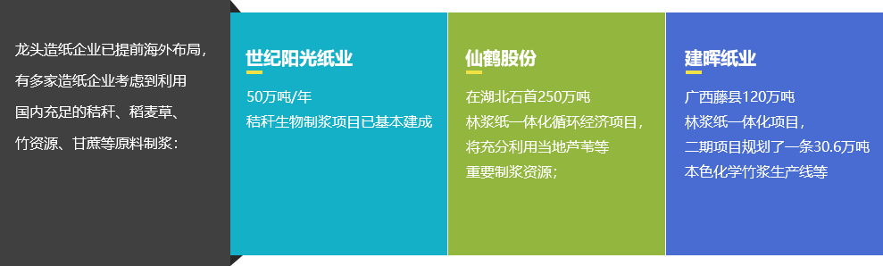 龙头造纸企业已提前海外布局，有多家造纸企业考虑到利用国内充足的秸秆、稻麦草、竹资源、甘蔗等原料制浆
